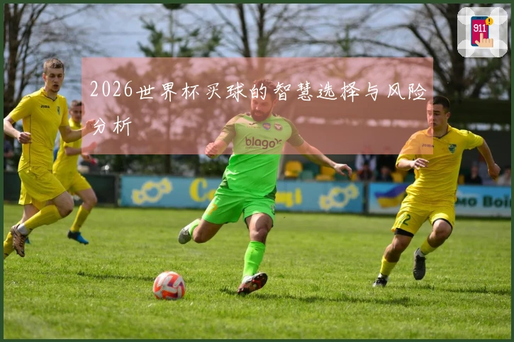2026世界杯买球的智慧选择与风险分析