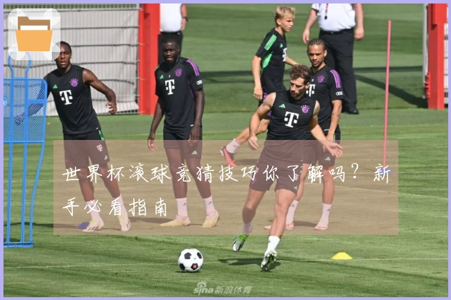 世界杯滚球竞猜技巧你了解吗？新手必看指南