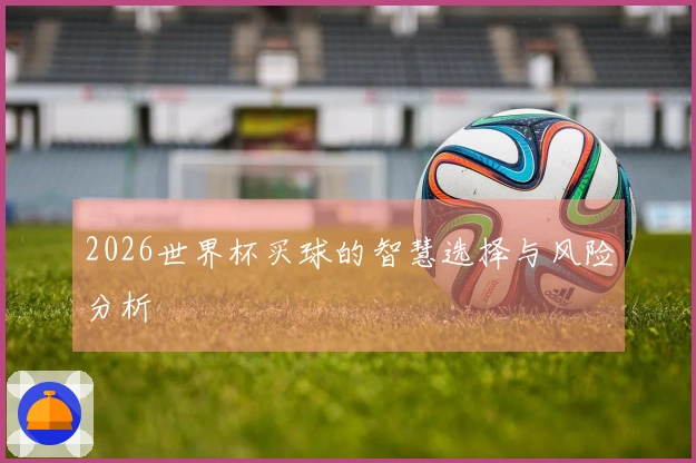 2026世界杯买球的智慧选择与风险分析